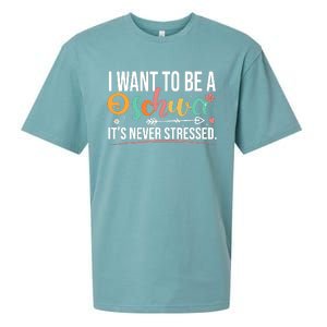 I Want To Be A Schwa ItS Never Stressed Science Of Reading Sueded Cloud Jersey T-Shirt