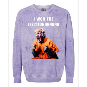 I Won The ElectionFunny Trump Prisoner Halloween Costume Colorblast Crewneck Sweatshirt