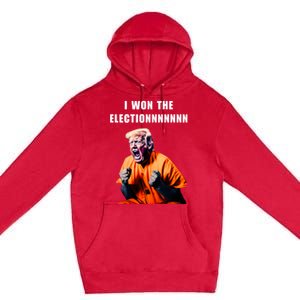 I Won The ElectionFunny Trump Prisoner Halloween Costume Premium Pullover Hoodie