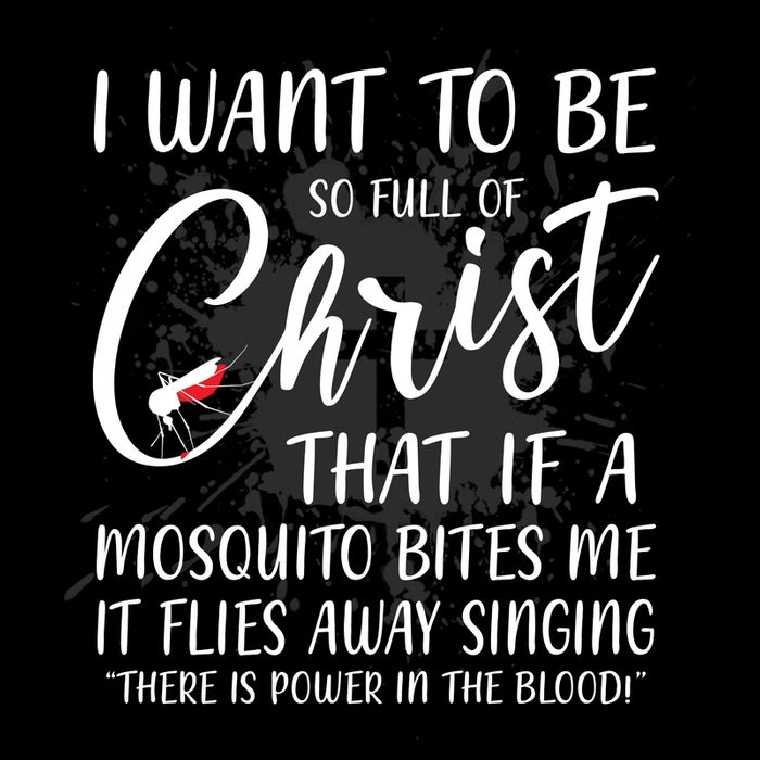 I Want To Be So Full Of Christ Mosquito Bite Funny Christian Quote Toddler T-Shirt