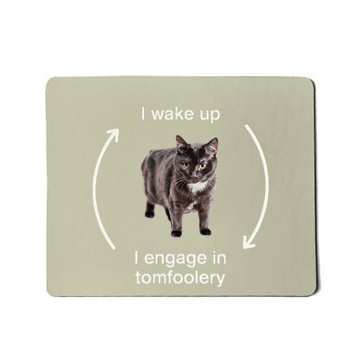 I Wake Up I Engage In Tomfoolery Silly Cat Meme Mousepad