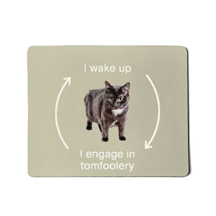 I Wake Up I Engage In Tomfoolery Silly Cat Meme Mousepad