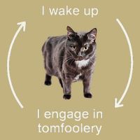 I Wake Up I Engage In Tomfoolery Silly Cat Meme Mousepad