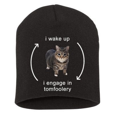 I Wake Up I Engage In Tomfoolery Silly Cat Short Acrylic Beanie