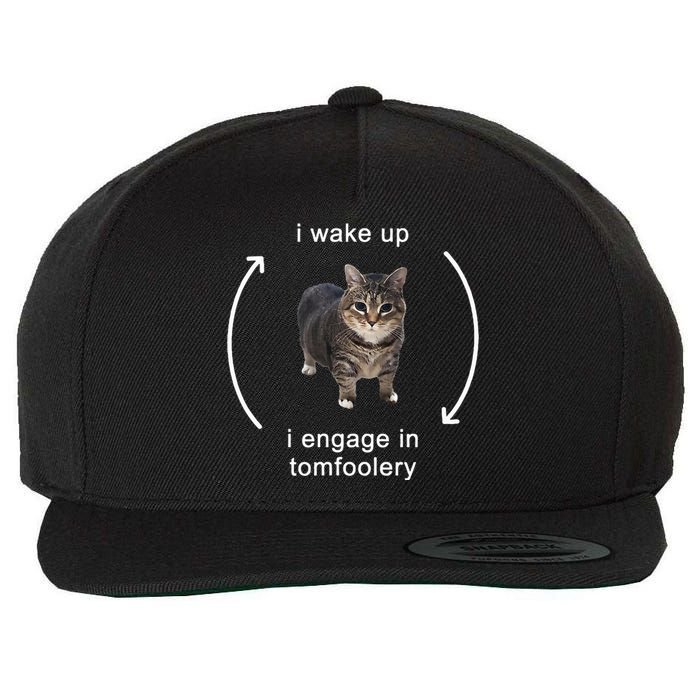 I Wake Up I Engage In Tomfoolery Silly Cat Wool Snapback Cap