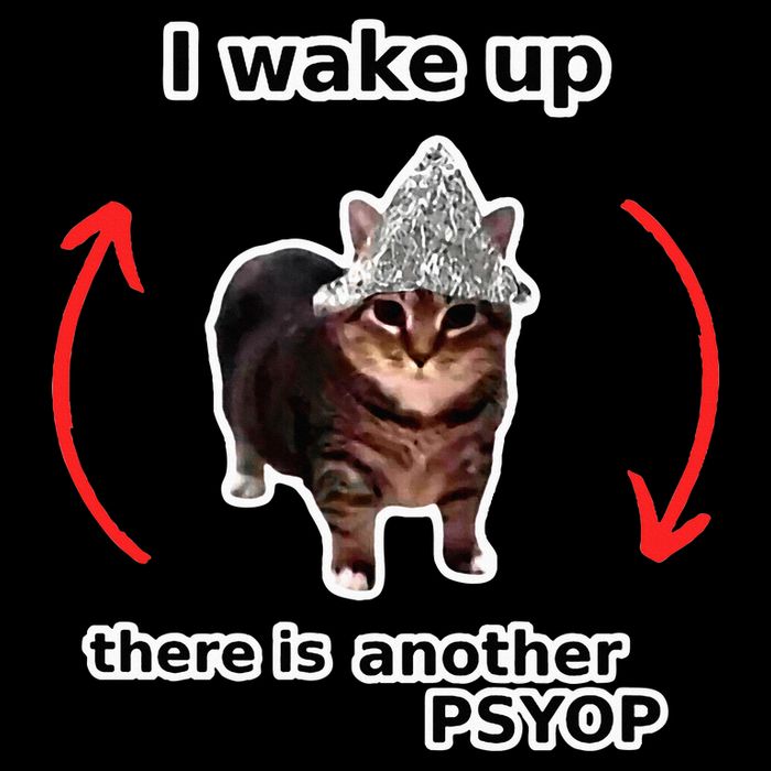 I Wake Up There Is Another Psyop Tin Foil Hat Cat Meme 16oz Travel Tumbler