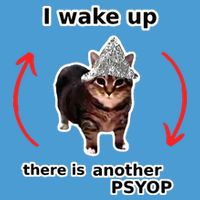 I Wake Up There Is Another Psyop Tin Foil Hat Cat Meme Tie Dye Hoodie