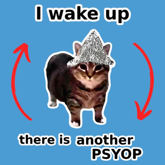 I Wake Up There Is Another Psyop Tin Foil Hat Cat Meme Tie Dye Hoodie