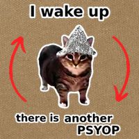 I Wake Up There Is Another Psyop Tin Foil Hat Cat Meme Cotton Canvas Backpack
