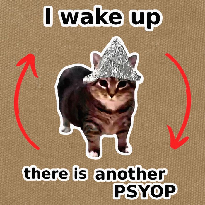 I Wake Up There Is Another Psyop Tin Foil Hat Cat Meme Cotton Canvas Backpack