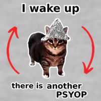 I Wake Up There Is Another Psyop Tin Foil Hat Cat Meme Ladies PosiCharge Tri-Blend Wicking Tank
