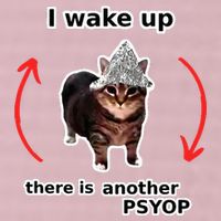 I Wake Up There Is Another Psyop Tin Foil Hat Cat Meme 25L Jumbo Tote
