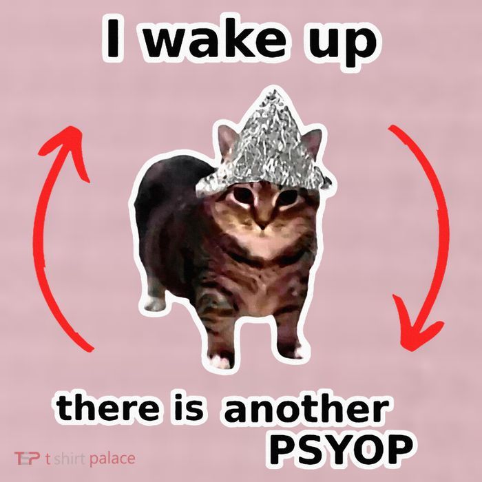 I Wake Up There Is Another Psyop Tin Foil Hat Cat Meme 25L Jumbo Tote