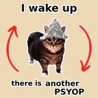 I Wake Up There Is Another Psyop Tin Foil Hat Cat Meme Drawstring Bag