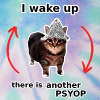 I Wake Up There Is Another Psyop Tin Foil Hat Cat Meme Legacy Tie Dye Trucker Hat