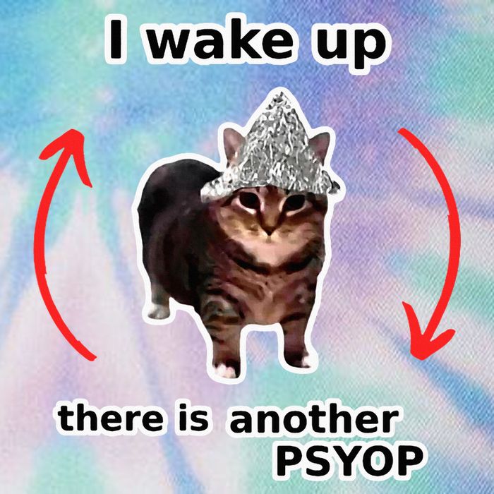 I Wake Up There Is Another Psyop Tin Foil Hat Cat Meme Legacy Tie Dye Trucker Hat
