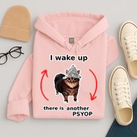 I Wake Up There Is Another Psyop Tin Foil Hat Cat Meme Hoodie