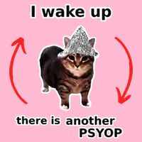 I Wake Up There Is Another Psyop Tin Foil Hat Cat Meme Magnet