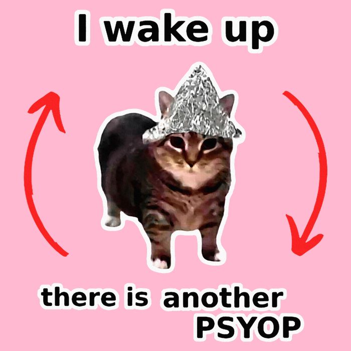 I Wake Up There Is Another Psyop Tin Foil Hat Cat Meme Magnet