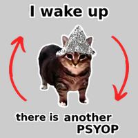 I Wake Up There Is Another Psyop Tin Foil Hat Cat Meme Tie-Dye T-Shirt