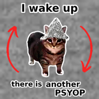 I Wake Up There Is Another Psyop Tin Foil Hat Cat Meme 7-Panel Snapback Hat