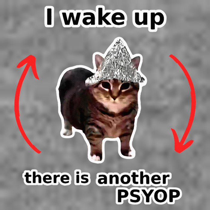 I Wake Up There Is Another Psyop Tin Foil Hat Cat Meme 7-Panel Snapback Hat