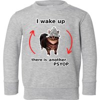 I Wake Up There Is Another Psyop Tin Foil Hat Cat Meme Toddler Sweatshirt