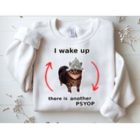 I Wake Up There Is Another Psyop Tin Foil Hat Cat Meme Sweatshirt