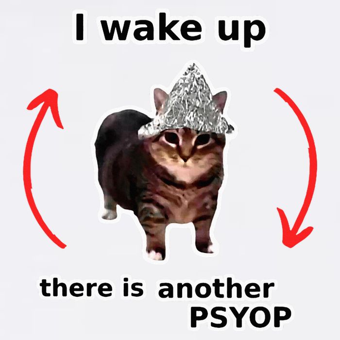 I Wake Up There Is Another Psyop Tin Foil Hat Cat Meme Tall T-Shirt