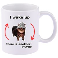I Wake Up There Is Another Psyop Tin Foil Hat Cat Meme 11oz C Handle Ceramic Mug