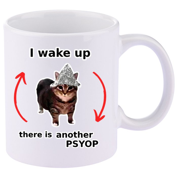I Wake Up There Is Another Psyop Tin Foil Hat Cat Meme 11oz C Handle Ceramic Mug