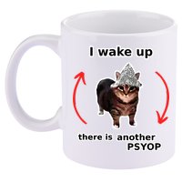 I Wake Up There Is Another Psyop Tin Foil Hat Cat Meme 11oz C Handle Ceramic Mug