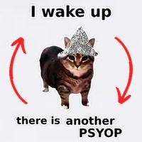 I Wake Up There Is Another Psyop Tin Foil Hat Cat Meme Flat Bill Trucker Hat