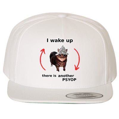 I Wake Up There Is Another Psyop Tin Foil Hat Cat Meme Wool Snapback Cap