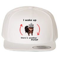 I Wake Up There Is Another Psyop Tin Foil Hat Cat Meme Wool Snapback Cap