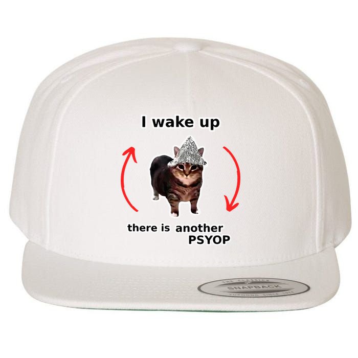 I Wake Up There Is Another Psyop Tin Foil Hat Cat Meme Wool Snapback Cap