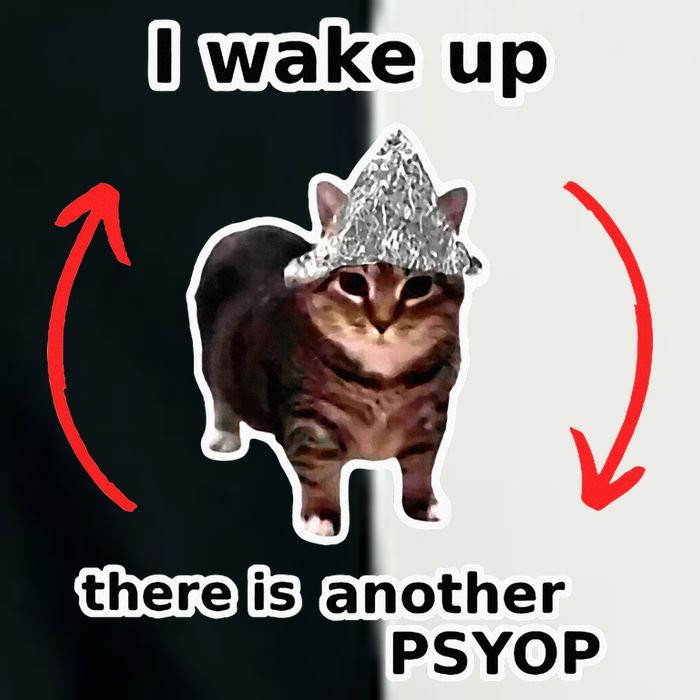 I Wake Up There Is Another Psyop Tin Foil Hat Cat Meme Infant Baby Jersey Bodysuit