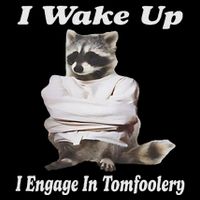 I Wake Up I Engage In Tomfoolery Feral Racoon Meme Baby Bodysuit