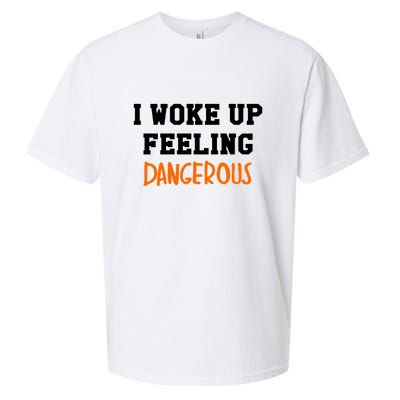 I Woke Up Feeling Dangerous Sueded Cloud Jersey T-Shirt