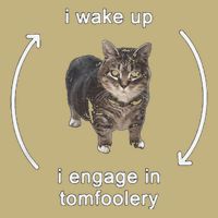 I Wake Up I Engage In Tomfoolery Cat & Funny Meme Cats Button