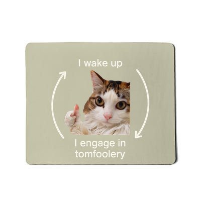 I Wake Up I Engage In Tomfoolery Silly Cat Meme Mousepad