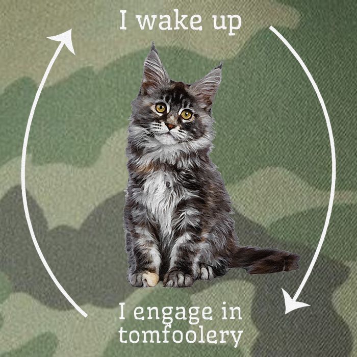 I Wake Up I Engage In Tomfoolery Silly Cat Meme Maine Coon Legacy Tie Dye Trucker Hat