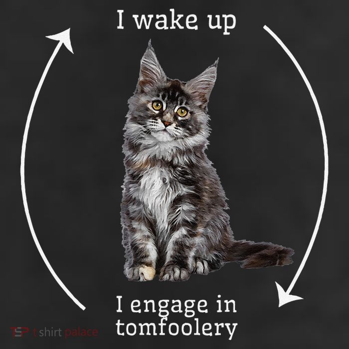 I Wake Up I Engage In Tomfoolery Silly Cat Meme Maine Coon Adult Drive Performance Visor