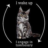 I Wake Up I Engage In Tomfoolery Silly Cat Meme Maine Coon Flatbill Hat