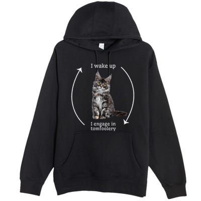 I Wake Up I Engage In Tomfoolery Silly Cat Meme Maine Coon Premium Pullover Hoodie