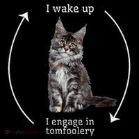 I Wake Up I Engage In Tomfoolery Silly Cat Meme Maine Coon Premium T-Shirt