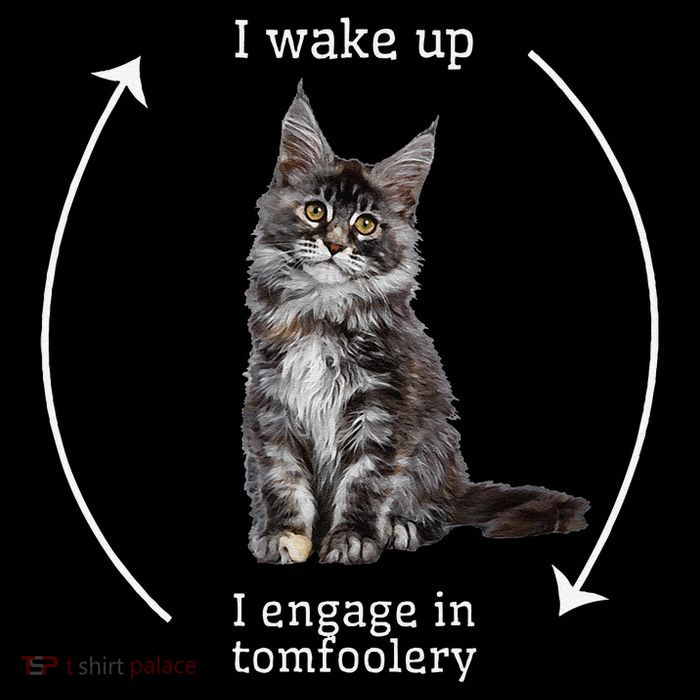 I Wake Up I Engage In Tomfoolery Silly Cat Meme Maine Coon Sustainable Knit Beanie