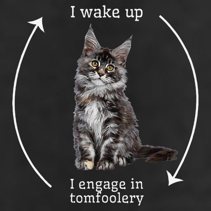 I Wake Up I Engage In Tomfoolery Silly Cat Meme Maine Coon 25L Jumbo Tote