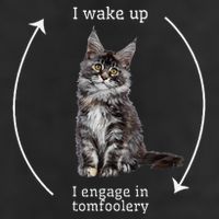 I Wake Up I Engage In Tomfoolery Silly Cat Meme Maine Coon Microfiber Hand Towel