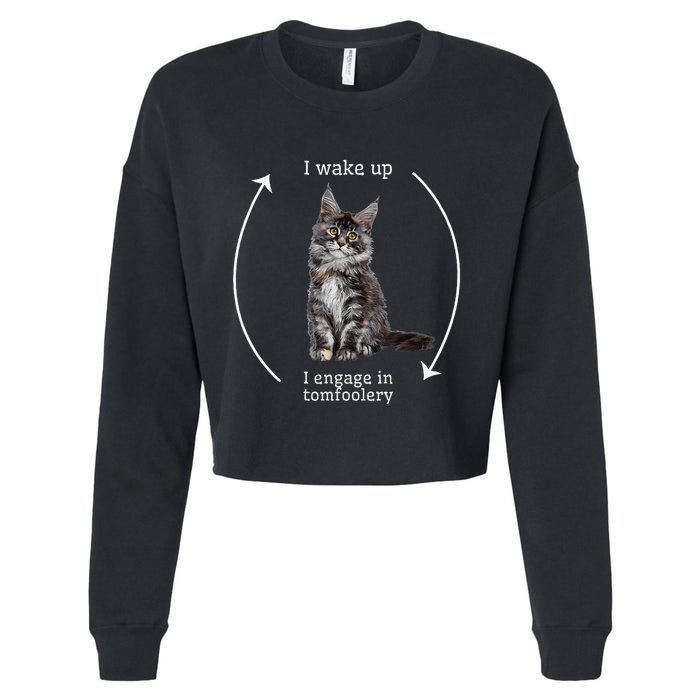I Wake Up I Engage In Tomfoolery Silly Cat Meme Maine Coon Cropped Pullover Crew